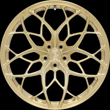 Легкосплавний диск 19" BC Forged RZ24 19x11 BLANK Custom Finish - фото My Tuning Lab